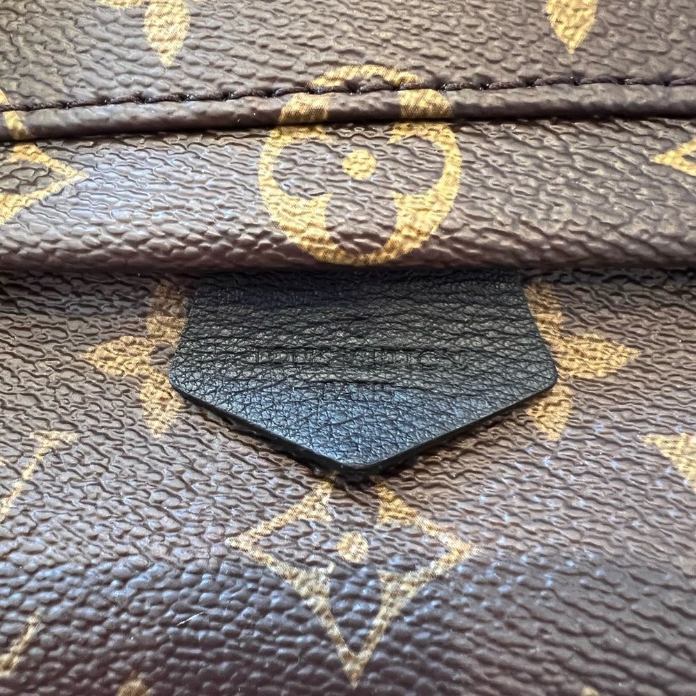 LOUIS VUITTON (LV) PALM SPRINGS MINI BACKPACK - Picture 5 of 14